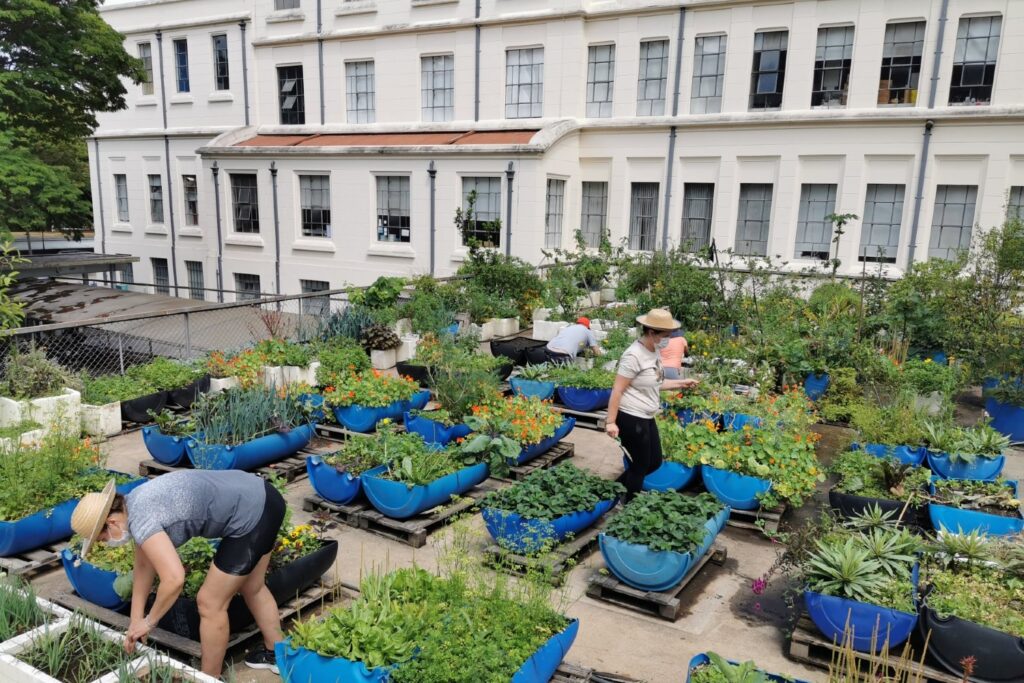 Drone de Pulverização para Hortas Urbanas: Agricultura Eficiente 7 Horta urbana abre facul MedicinaUSP 25jan22 Album Facebook drone de pulverização para cultura da laranja