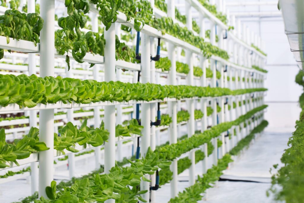 Drones Pulverizadores para Agricultura Vertical: Eficiência 4 557c540 vertical hidroponia drone de pulverização para cultura da laranja