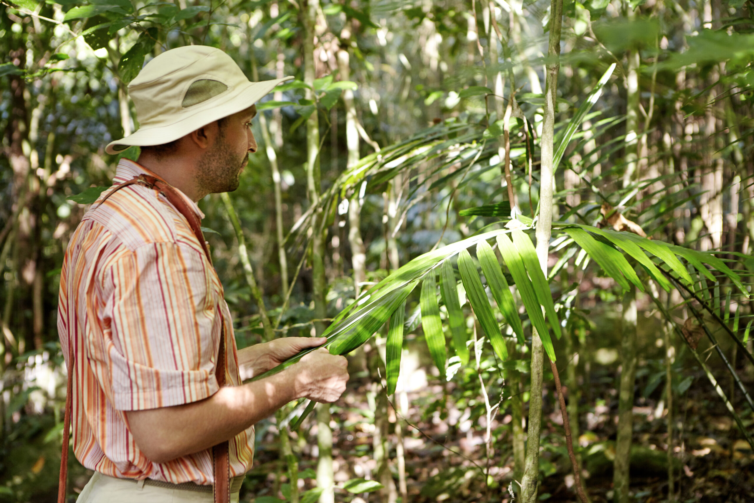 Drone Pulverizador para Espécies Nativas | Agricultura 3 male botanist striped shirt standing front green exotic plant holding its big leaves studying them diseases while exploring environmental conditions problems tropical forest scaled drone pulverizador para cultivo de espécies nativas