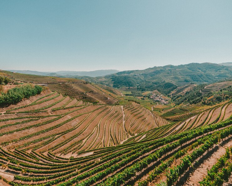 Drone pulverizador para práticas agrícolas em áreas de relevo acidentado 3 high angle shot landscape with green grass range mountains 181624 13737 Drone pulverizador para práticas agrícolas em áreas de relevo acidentado